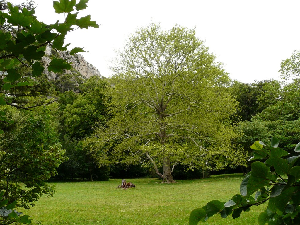 Sainte Beaume, 28-05-08, 12-21.jpg